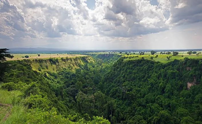 The lush forested Kyambura Gorge in Queen Elizabeth National Park, Uganda