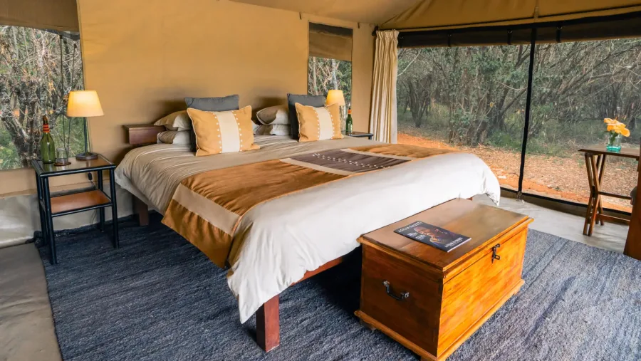 Luxury safari camp in the Maasai Mara, Kenya