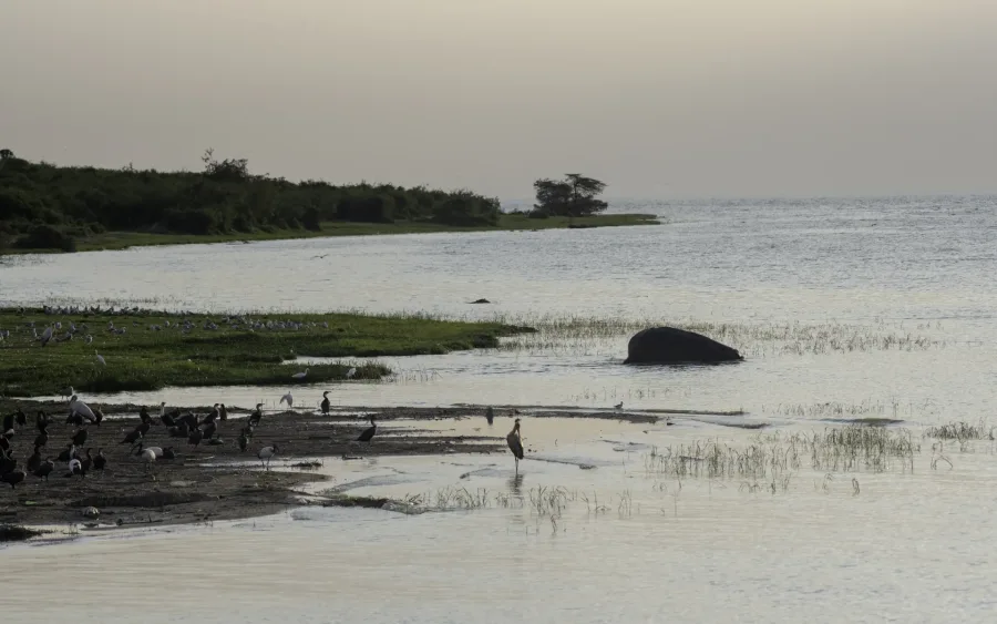 Fishermen and fresh catch at the fish market near Queen Elizabeth National Park, Uganda