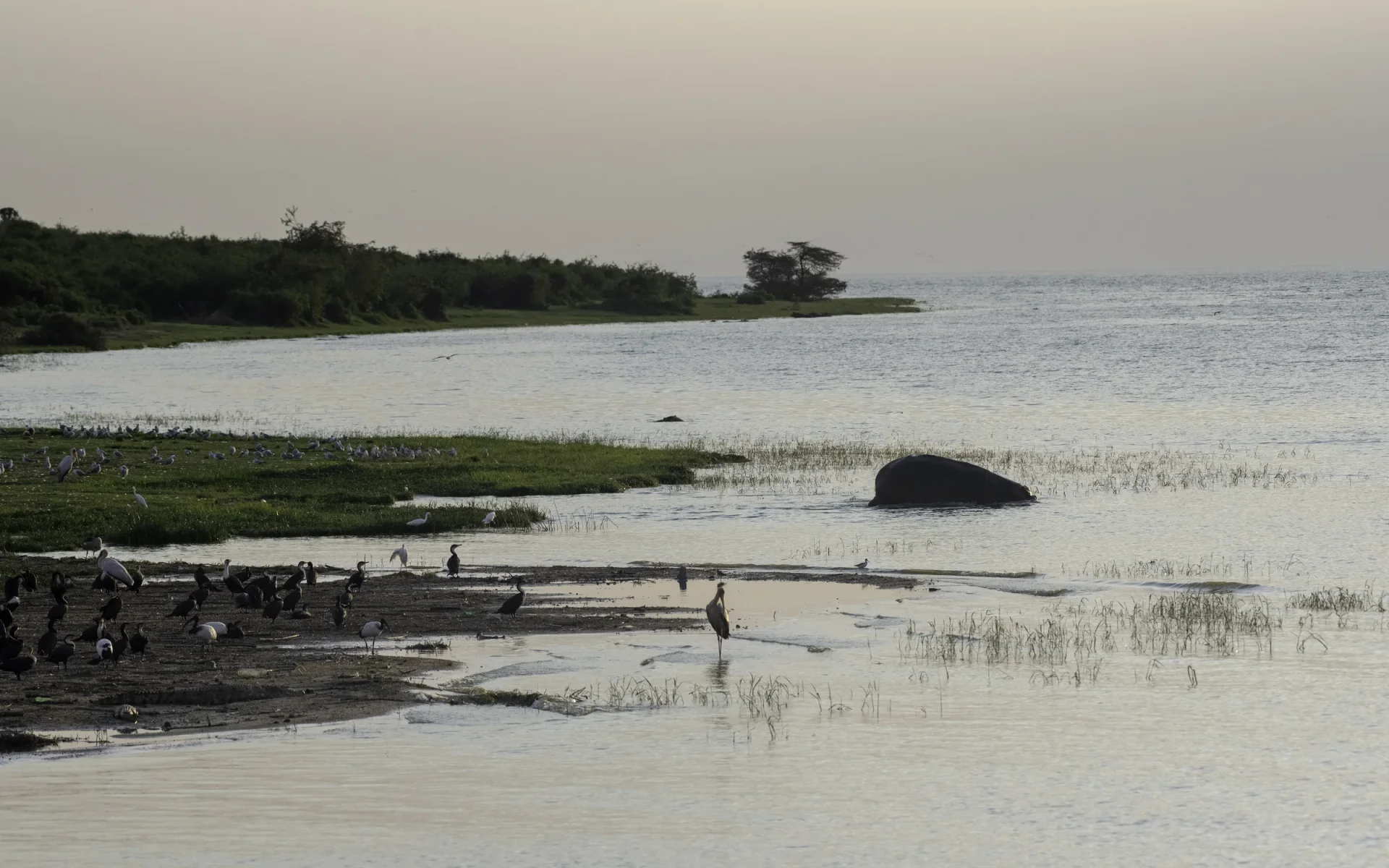 The Fish Market in Queen Elizabeth National Park