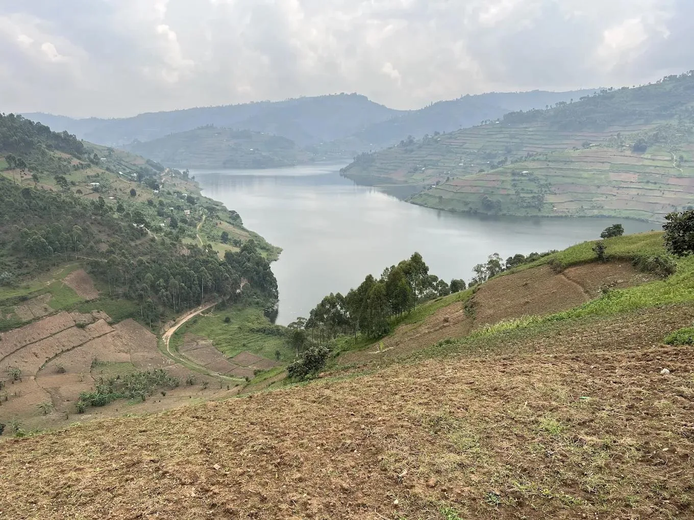 Terraced hills falling to the still water of Lake Bunyonyi in Uganda's Kigezi Highlands