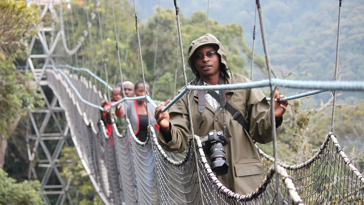 Nyungwe Forest National Park, Rwanda