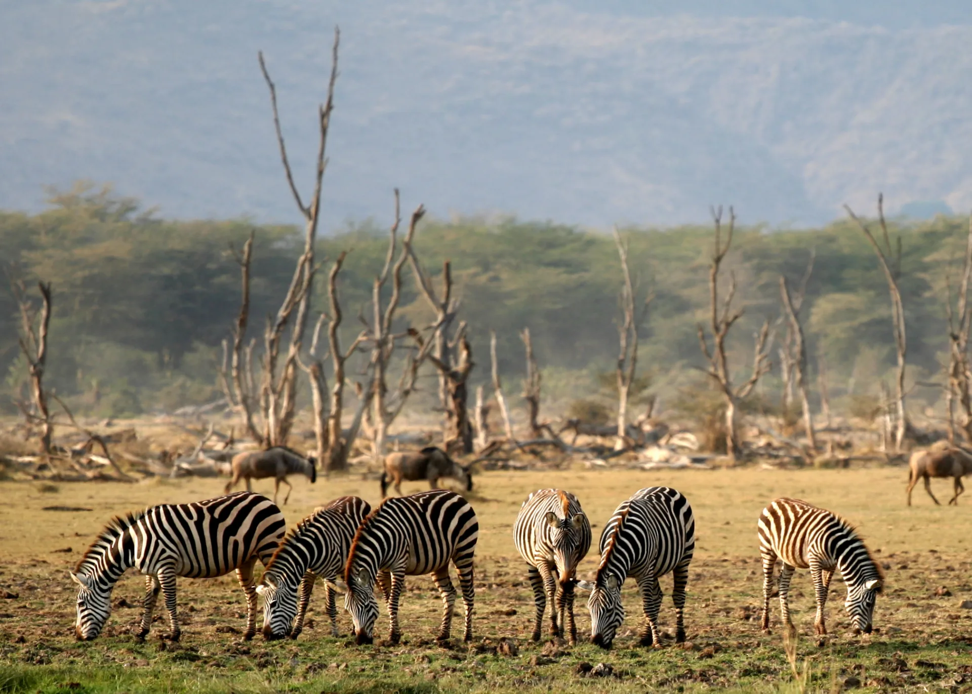 Lake Manyara National Park Tanzania