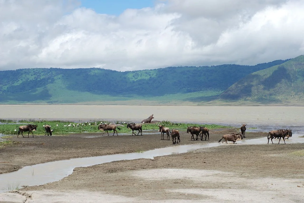 Ngorongoro Crater, Tanzania
