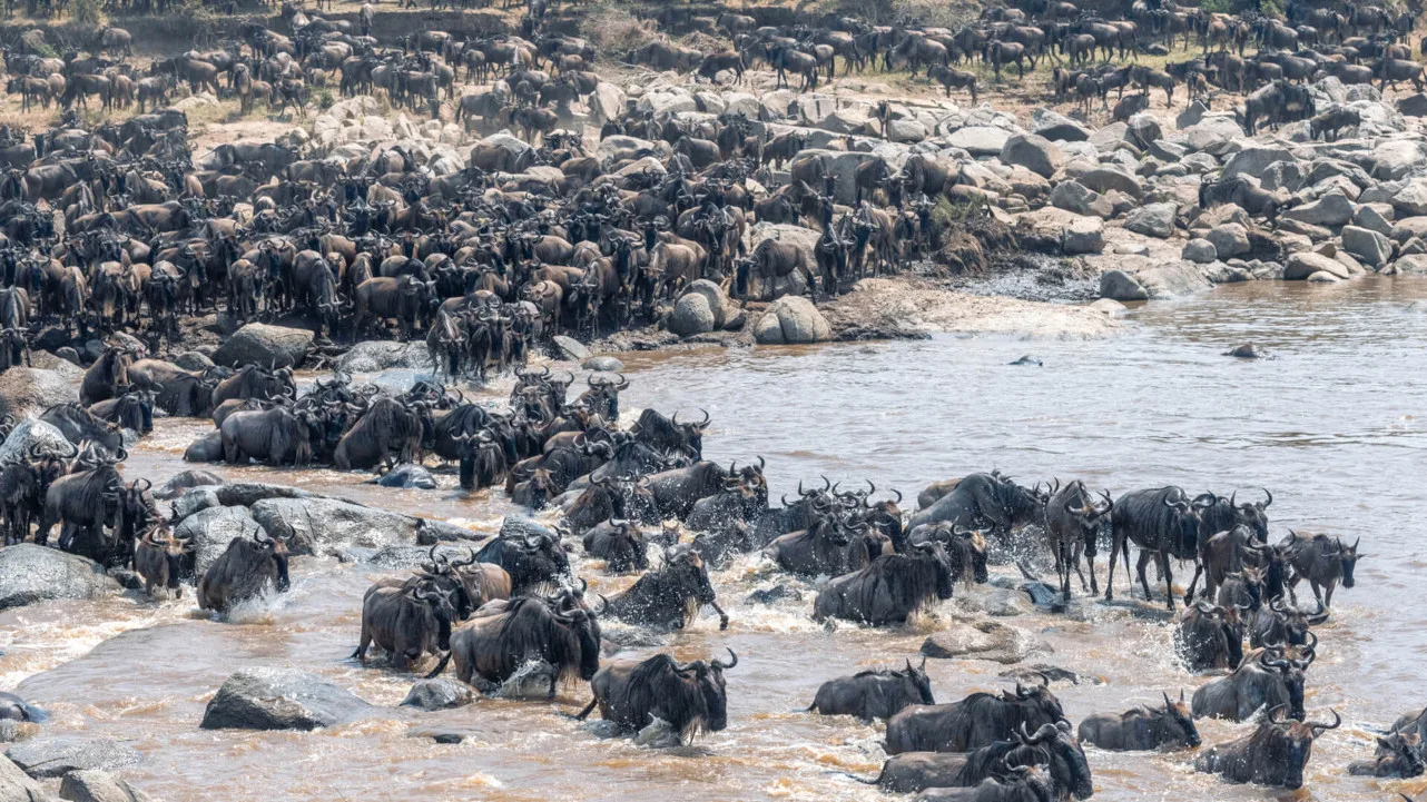 Serengeti National Park, Tanzania