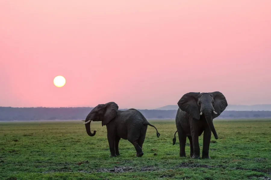 Serengeti plains and Kenyan coastline on the 15 Days Luxury Tanzania & Kenya Safari & Beach Escape