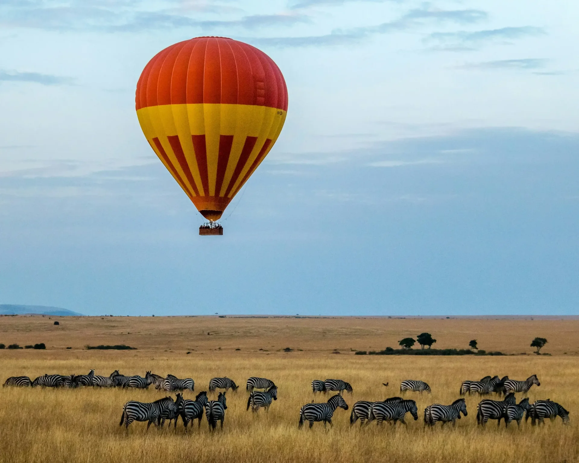 11 Days Best of Southern Tanzania Safari