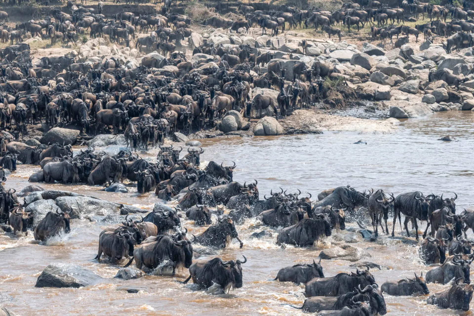 12 Days Tanzania & Rwanda Luxury Safari