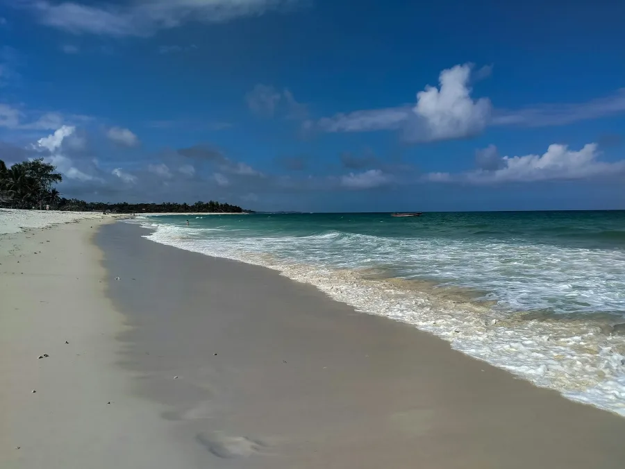 Elephants on the savanna and white sand on the Kenyan coast on the 18 Days Kenya Ultimate Luxury Safari & Beach Escape