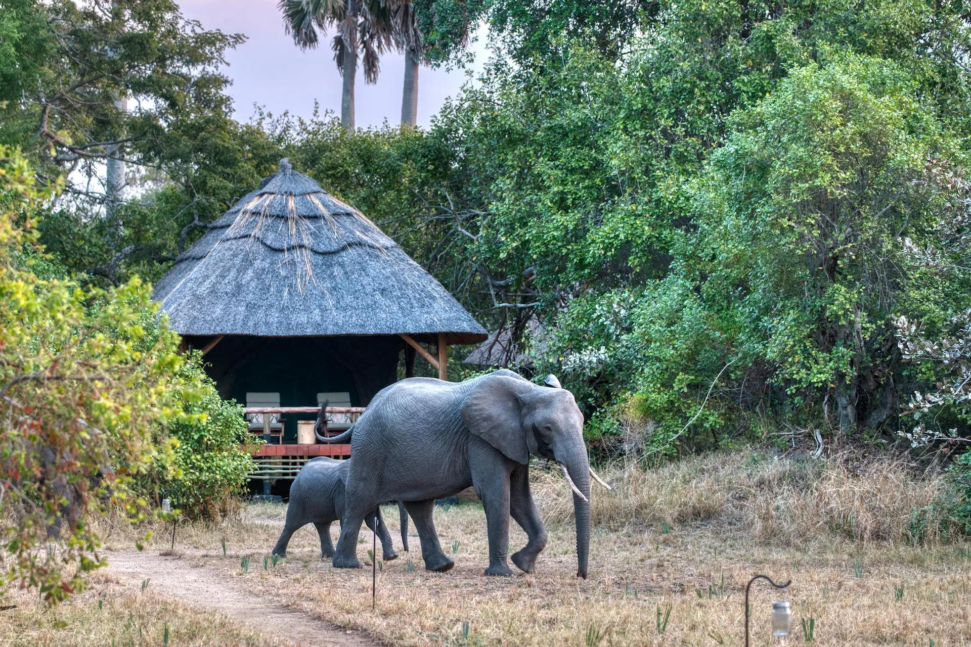 16 Days North & Western Tanzania Luxury Safari