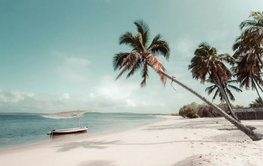 Wildlife on the savanna and turquoise Indian Ocean waters on the 10 Days Kenya Luxury Safari & Indian Ocean Escape