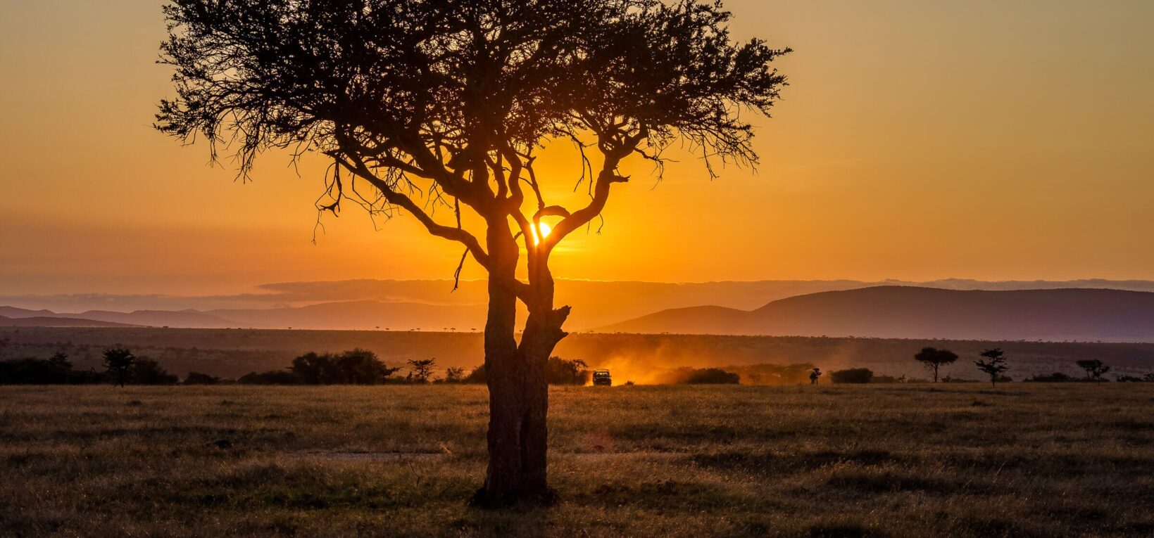 The MAA TRUST Championing Community Conservation in the Maasai Mara