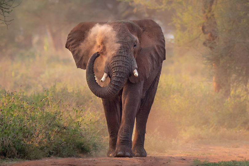 13 Days Secrets of East Africa Safari