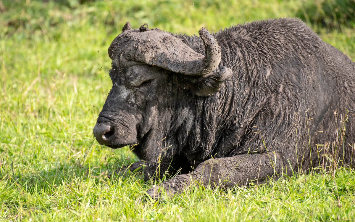 Lake Mburo National Park