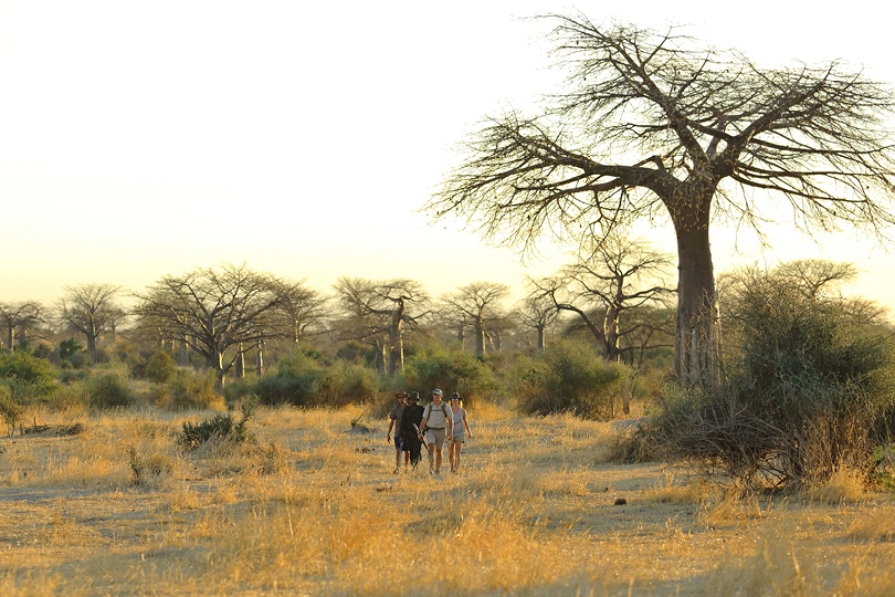10 Days Kenya and Tanzania Exclusive Holiday